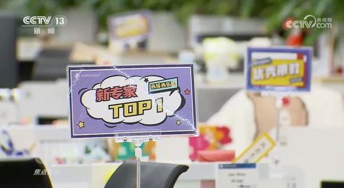 焦點訪談 別有用心的咨詢